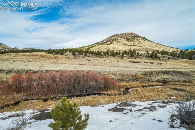 Lake Acreage For Sale in Guffey, Colorado