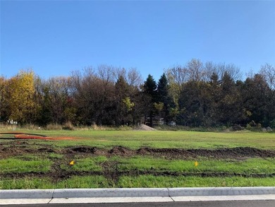 (private lake, pond, creek) Lot For Sale in Owatonna Minnesota