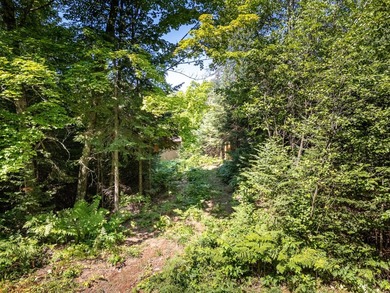 Explore your own secluded lakeside getaway! Situated on 6.5 - photo 13