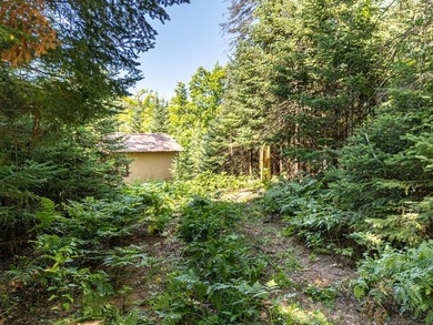 Explore your own secluded lakeside getaway! Situated on 6.5 - photo 15