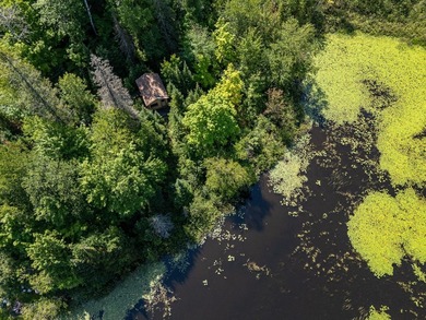 Explore your own secluded lakeside getaway! Situated on 6.5 - photo 16