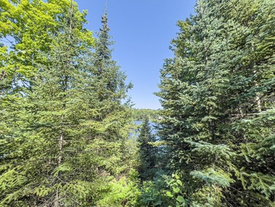 Explore your own secluded lakeside getaway! Situated on 6.5 - photo 18