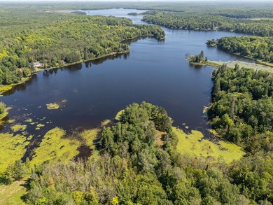 Explore your own secluded lakeside getaway! Situated on 6.5 - photo 19