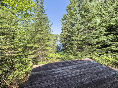 Explore your own secluded lakeside getaway! Situated on 6.5 - photo 20