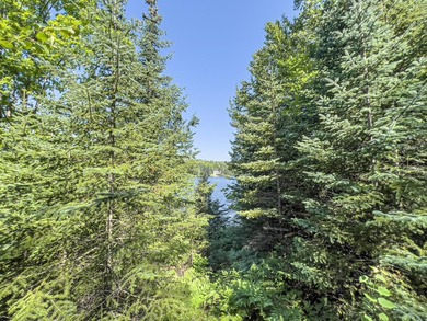 Explore your own secluded lakeside getaway! Situated on 6.5 - photo 21