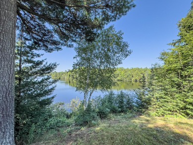 Explore your own secluded lakeside getaway! Situated on 6.5 - photo 22