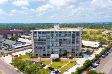 (private lake, pond, creek) Condo For Sale in Corpus Christi Texas