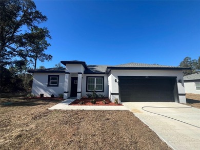 Bonable Lake Home Sale Pending in Dunnellon Florida