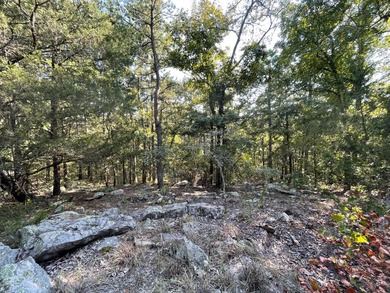 Seller financing available. Escape to your own private - photo 15