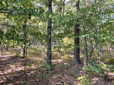 Seller financing available. Escape to your own private - photo 29