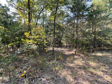 Seller financing available. Escape to your own private - photo 31