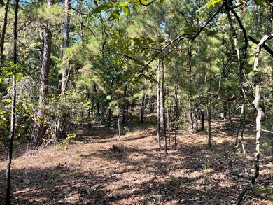 Seller financing available. Escape to your own private - photo 33