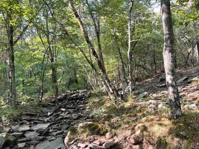 Seller financing available. Escape to your own private - photo 34