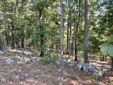 Seller financing available. Escape to your own private - photo 35