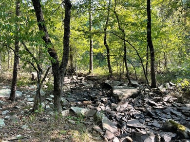 Seller financing available. Escape to your own private - photo 37
