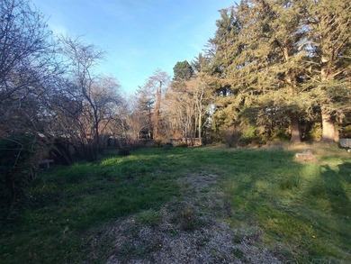 Priced to sell fast! Motivated Seller. Nice cleared lot with - photo 1