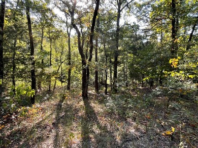 Seller financing available. Escape to your own private - photo 42