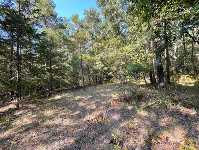 Seller financing available. Escape to your own private - photo 43