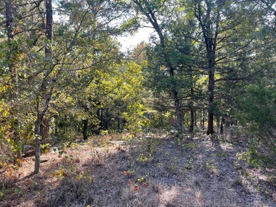 Seller financing available. Escape to your own private - photo 44