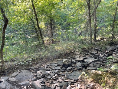 Seller financing available. Escape to your own private - photo 45