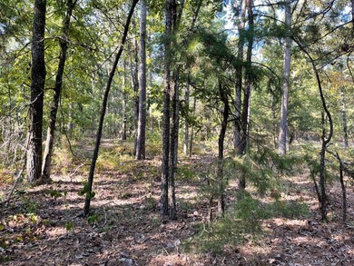 Seller financing available. Escape to your own private - photo 46