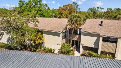 Lake Condo For Sale in Tampa, Florida