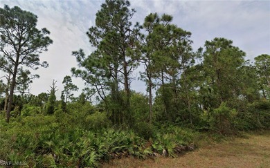 Lehigh Acres Area Lot For Sale in Lehigh Acres Florida