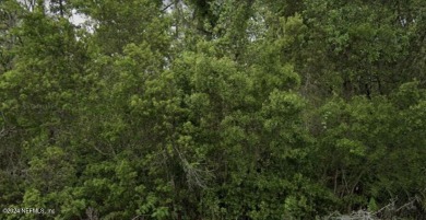 Crescent Lake - Putnam County Lot For Sale in Crescent City Florida