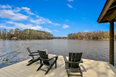 Lake Home For Sale in Odessa, Florida