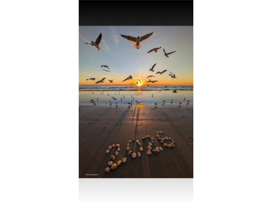 Welcome to your coastal getaway on North Padre Island in Corpus