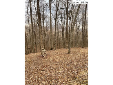 Elk Creek Mountain has lots to offer paved road, gated entrance - photo 6