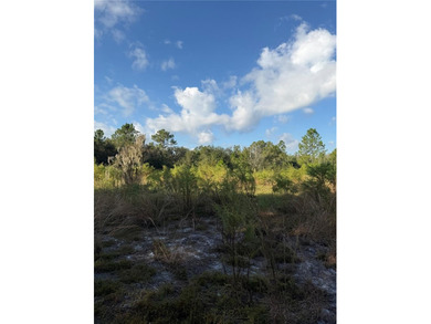 (private lake, pond, creek) Acreage For Sale in Frostproof Florida