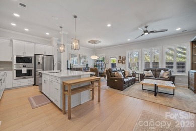 Stunning Townhome in the Heart of Cornelius - Minutes from - photo 4