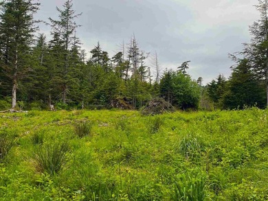 One of the largest cleared lots in Port Alexander, this nearly - photo 2