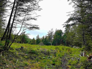 One of the largest cleared lots in Port Alexander, this nearly - photo 3