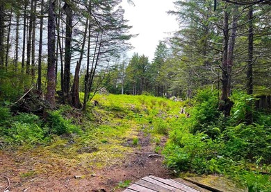 One of the largest cleared lots in Port Alexander, this nearly - photo 4