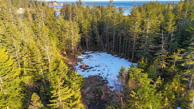 One of the largest cleared lots in Port Alexander, this nearly - photo 5