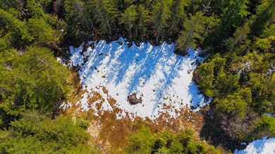 One of the largest cleared lots in Port Alexander, this nearly - photo 6