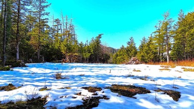 One of the largest cleared lots in Port Alexander, this nearly - photo 8