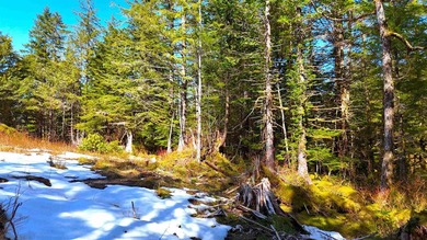 One of the largest cleared lots in Port Alexander, this nearly - photo 9