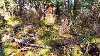One of the largest cleared lots in Port Alexander, this nearly - photo 10