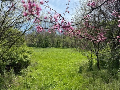 (private lake, pond, creek) Acreage For Sale in Brownsville Indiana