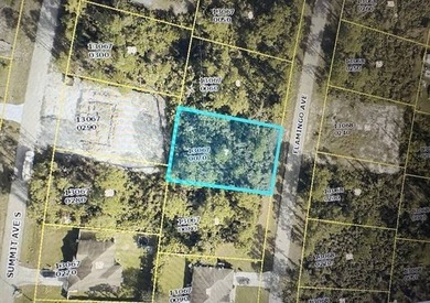 Lehigh Acres Area Lot For Sale in Lehigh Acres Florida