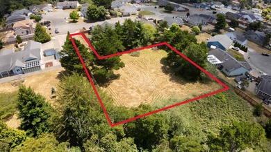 Build your dream home on this flat, usable flag lot located on - photo 3