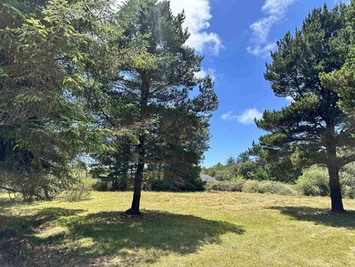 Build your dream home on this flat, usable flag lot located on - photo 5