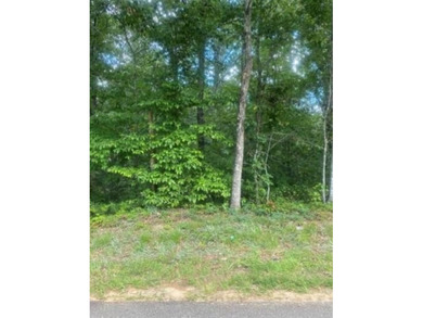 Lake Lanier Lot Sale Pending in Flowery Branch Georgia