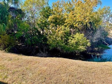 Discover easy Florida living in this updated 2BD/2BA home - photo 8