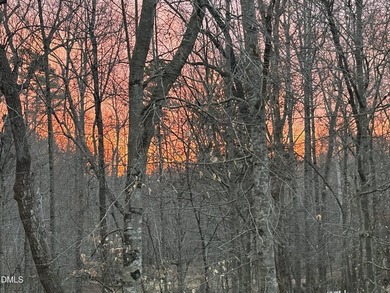 ORANGE County's NEW Division ''The Preserve at Tallulah - photo 6