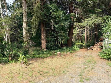 Tucked beneath a majestic canopy of towering Redwoods, this rare - photo 5