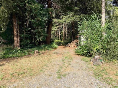 Tucked beneath a majestic canopy of towering Redwoods, this rare - photo 6